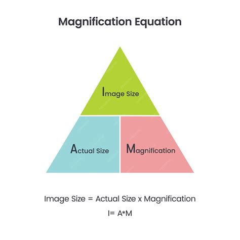 magnification equation biology|Iba pa.